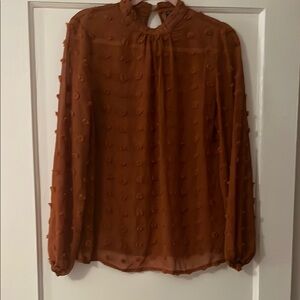 Elegant Brown Sheer Women's Top
